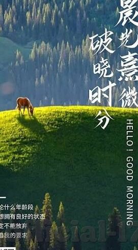 91国产麻豆精品-窥探国产网络影像的多元趋势与文化细节