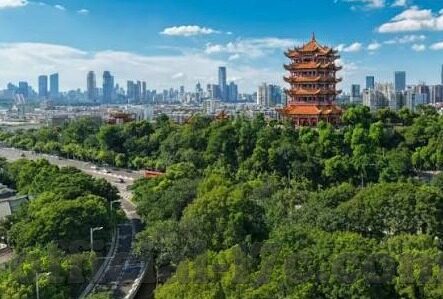 成人色情在线视频-成人色情在线视频，网络文化的灰色地带与伦理考量