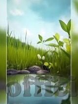 成人一区二区-成人一区二区的多元视角与影响