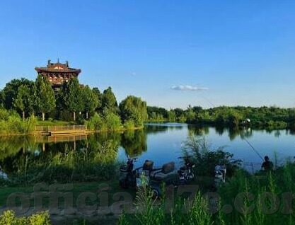 大象传媒app黄每日三次-探索大象传媒APP的每日三次使用习惯与影响