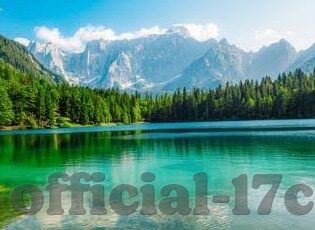 大象回家视频隐藏-神秘之旅，大象回家视频背后的隐藏故事