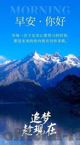 大象视频在线免费观-探索大象视频的免费观影新体验