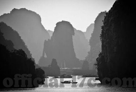 果冻传媒 麻豆-探索果冻传媒与麻豆的创意交融
