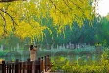 麻豆传媒兄妹-麻豆传媒，专注于影视的细腻情感描绘