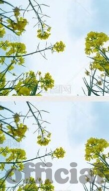 麻豆集团传媒-麻豆集团传媒，新媒体互动下的文化与商业交融