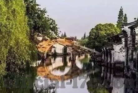 麻豆网站91-麻豆之境，互联网多元文化的镜像考察
