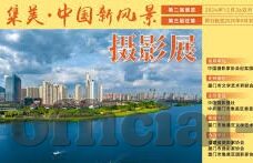 麻豆网站免费在线播放91-解析网络内容的多元价值，免费视频平台的双刃剑