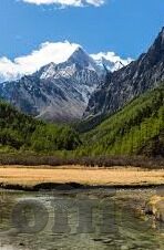 麻豆文化传媒app-麻豆文化传媒App，现实与虚拟交融的数字娱乐新景