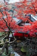 欧美一区,二区,三区-欧美一区、二区、三区的文化与艺术交融之旅