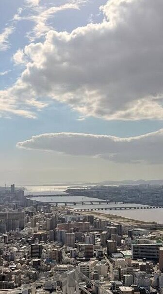 人妻流白浆-探索女性情感细腻的微妙世界，人妻流白浆的温柔秘密