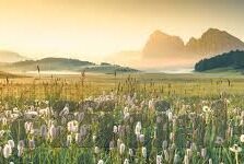 日韩视频一区二区三区-日韩视频，一区、二区、三区的文化与艺术探索